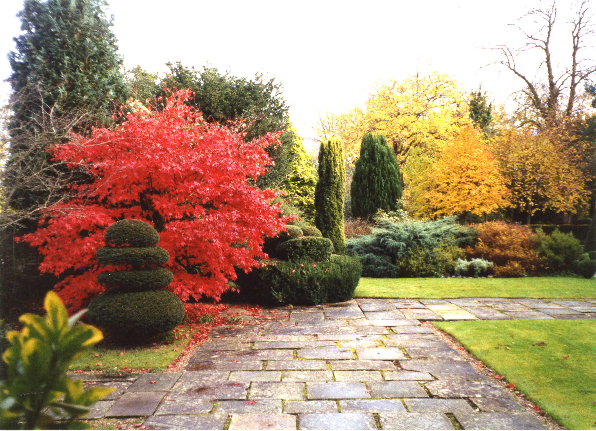 Autumnal trees and topiary in the Topiary Garden